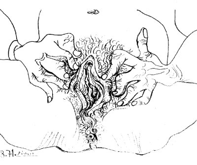 Pablo PICASSO Loncsos puncik