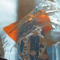 Rob Ibolya - kit�r�s el�tt